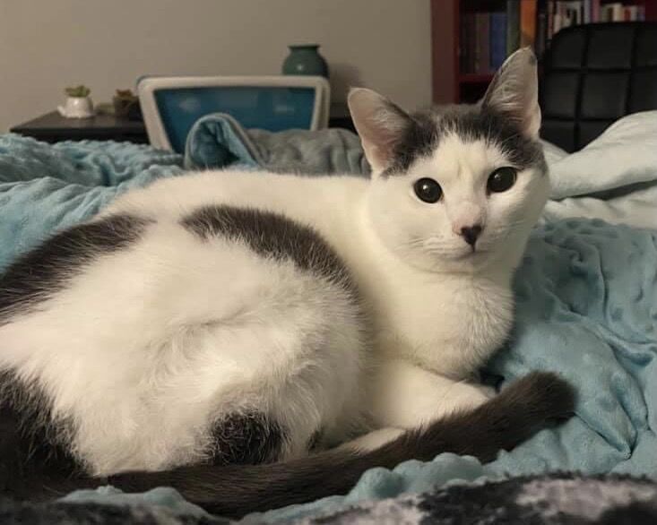 Pearl